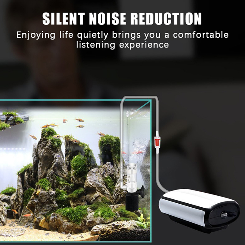 Air Driven Aquarium Sponge Fil - đánh giá và giá Betta Fish Tank