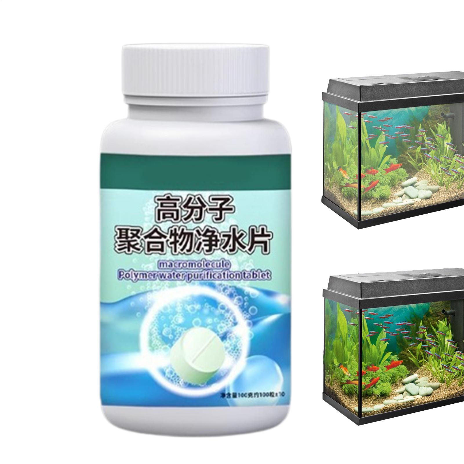 Fish Can Algae Remover Aquariu - đánh giá và giá Betta Fish Tank
