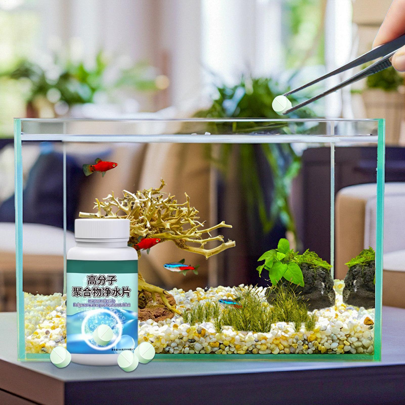Fish Can Algae Remover Aquariu - đánh giá và giá Betta Fish Tank