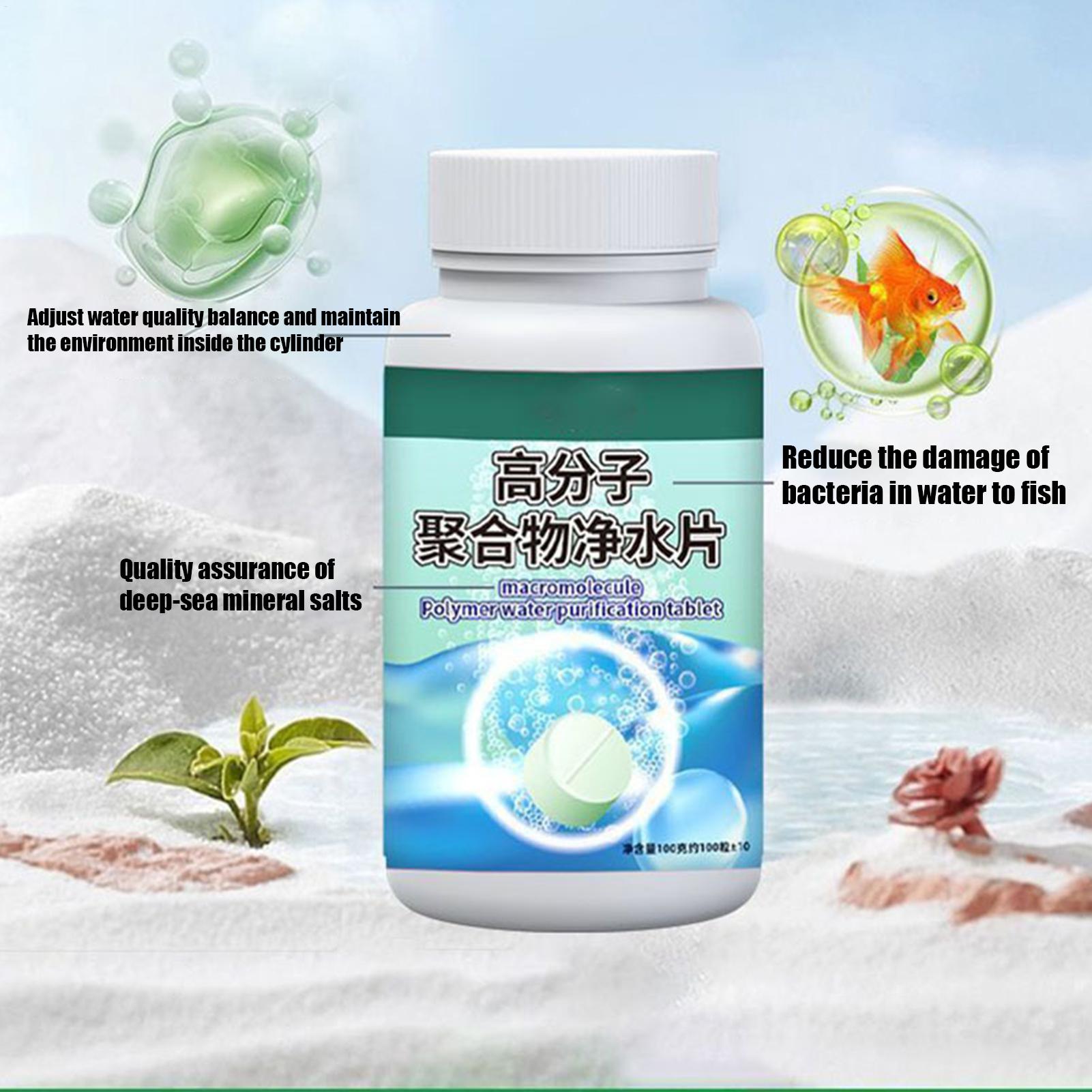 Fish Can Algae Remover Aquariu - đánh giá và giá Betta Fish Tank