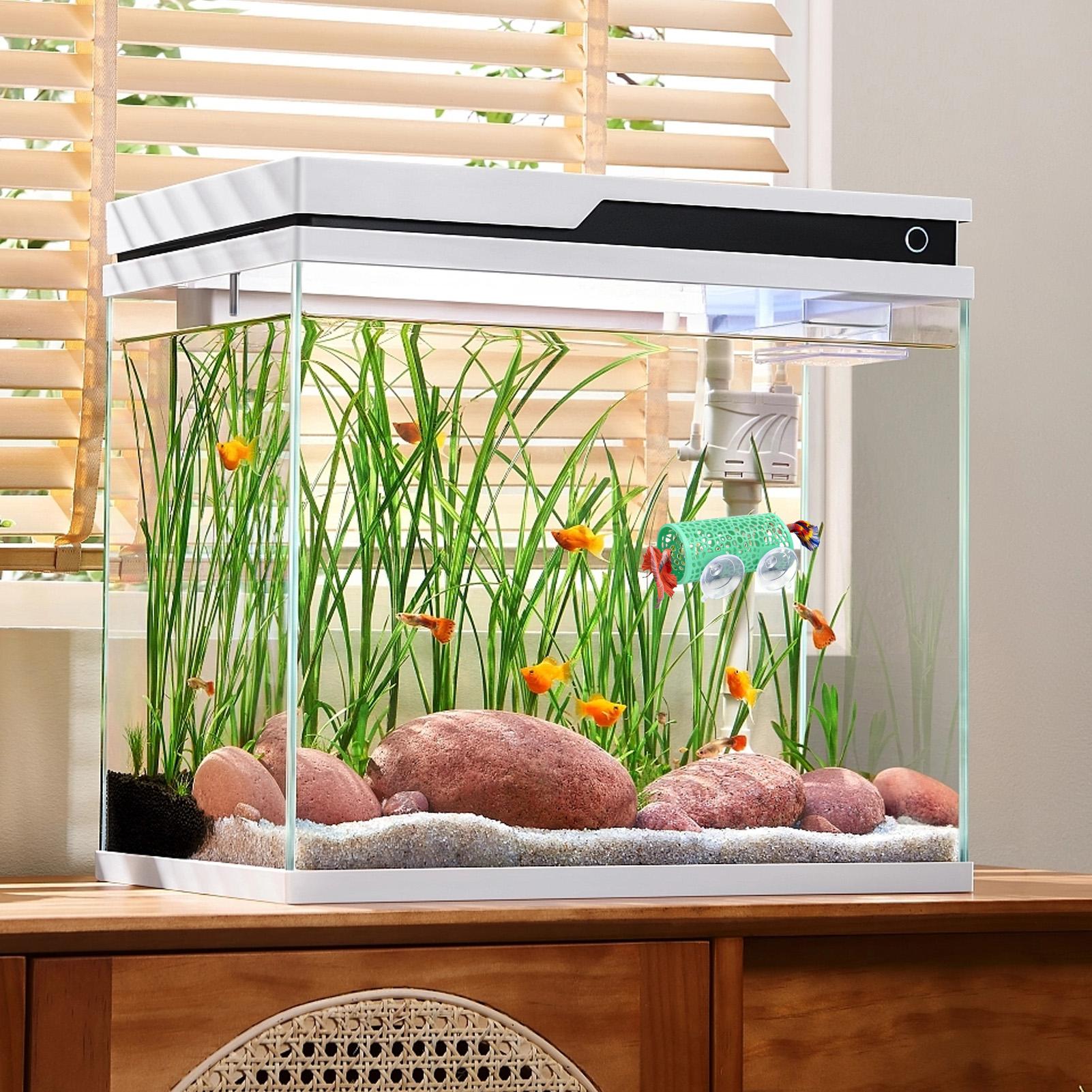 Betta Habitat Resting Shelter  - đánh giá và giá Betta Fish Tank