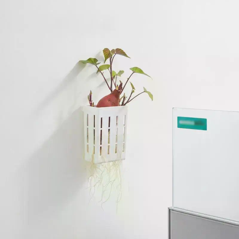 1Pcs Hydroponic Support Basket - đánh giá và giá Aquarium Plants