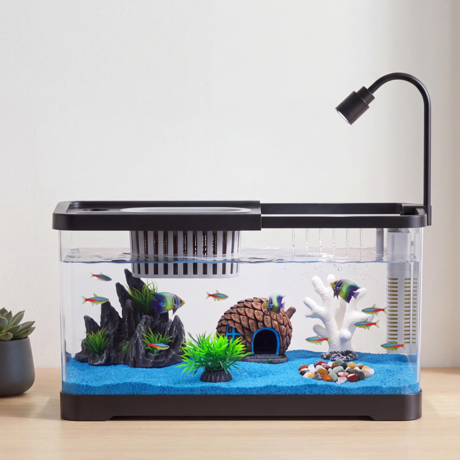 Fish Tank Starter Kit With Fil - đánh giá và giá Betta Fish Tank