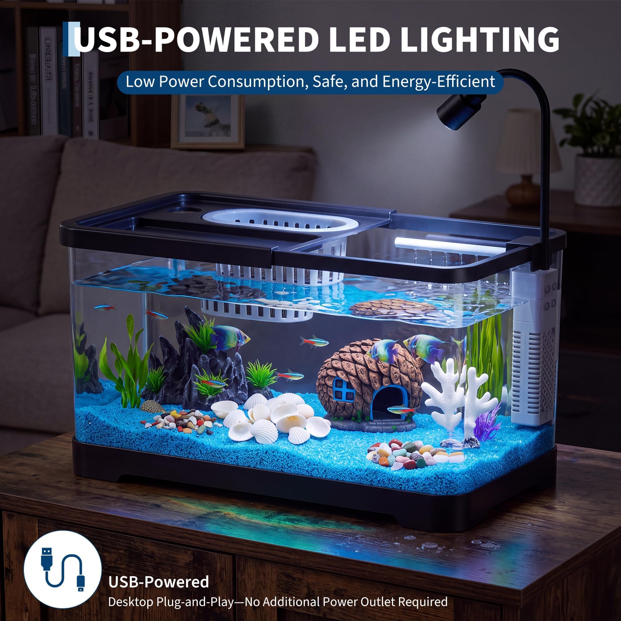 Fish Tank Starter Kit With Fil - đánh giá và giá Betta Fish Tank