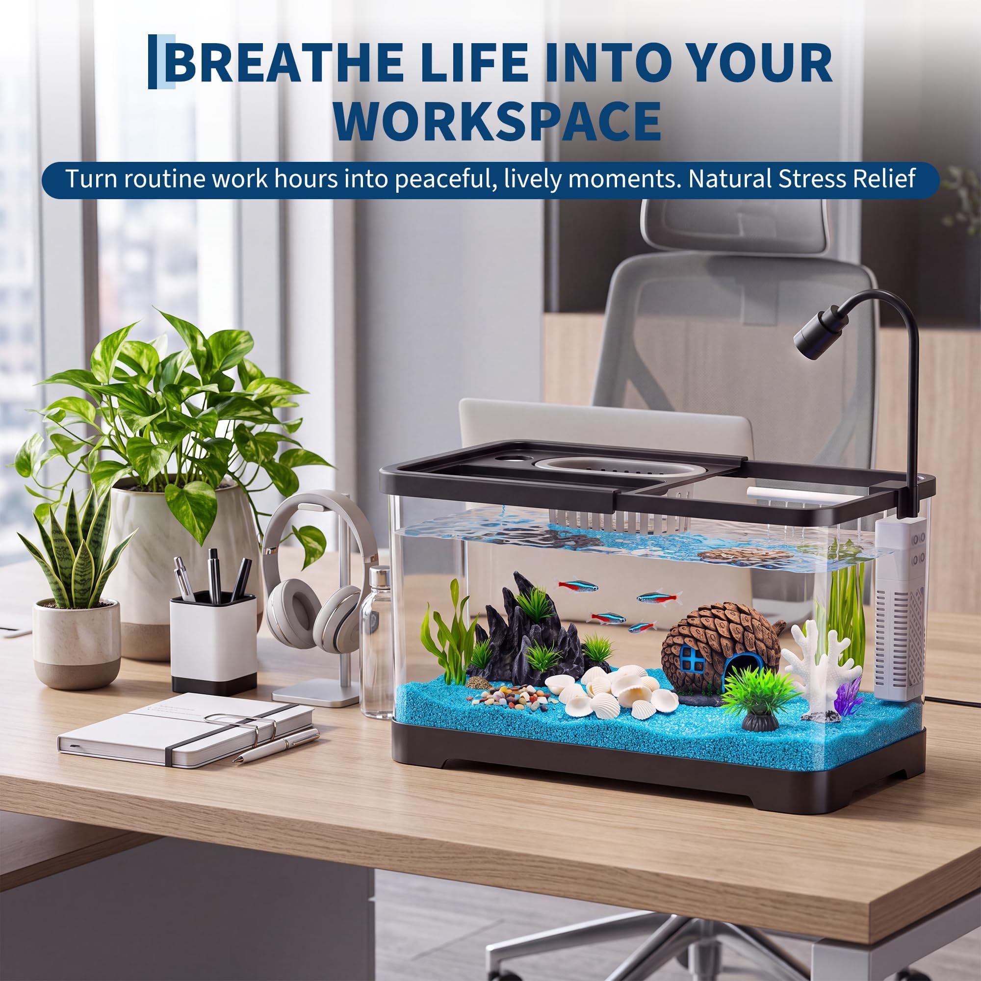 Fish Tank Starter Kit With Fil - đánh giá và giá Betta Fish Tank