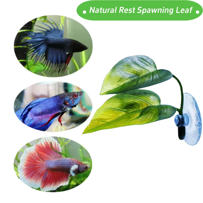 Aquarium Pet Supplies Decorati - đánh giá và giá Betta Fish Tank