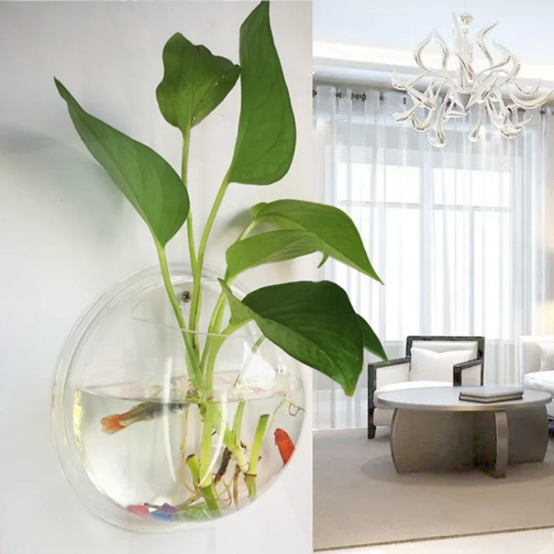 Pinsjar Acrylic Cá Bát Treo Tư - đánh giá và giá Betta Fish Tank