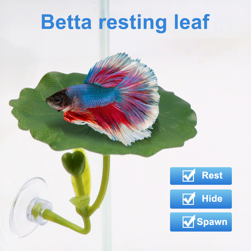 (Ce14)1/5PC Green Leaf Hammock - đánh giá và giá Betta Fish Tank
