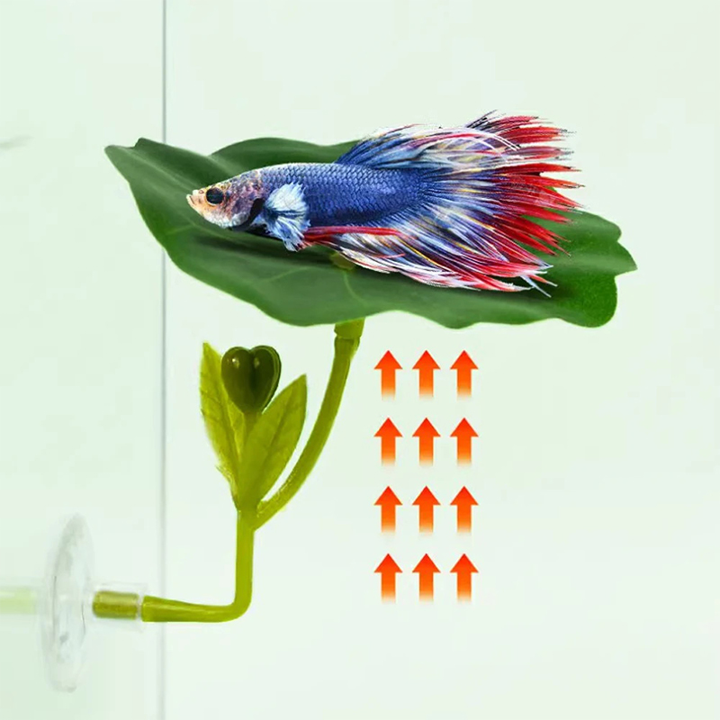 (Ce14)1/5PC Green Leaf Hammock - đánh giá và giá Betta Fish Tank