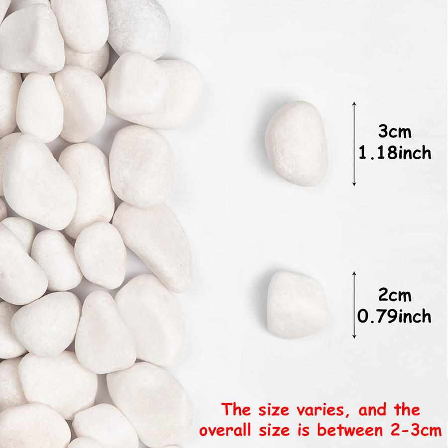 200/400g White High Polished N - đánh giá và giá Fish Aquarium Home