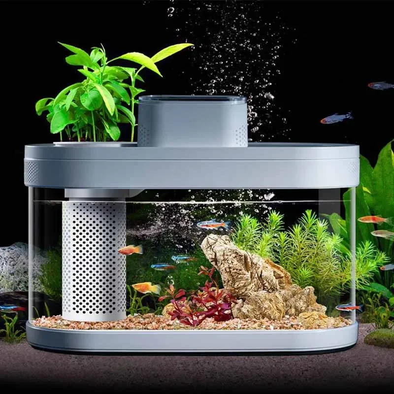 Smart Fish Tank For Xiaomi Mij - đánh giá và giá Xiaomi Aquarium Fish Tank