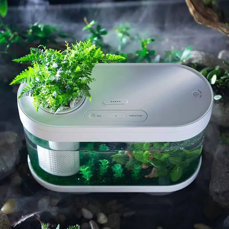 Smart Fish Tank For Xiaomi Mij - đánh giá và giá Xiaomi Aquarium Fish Tank