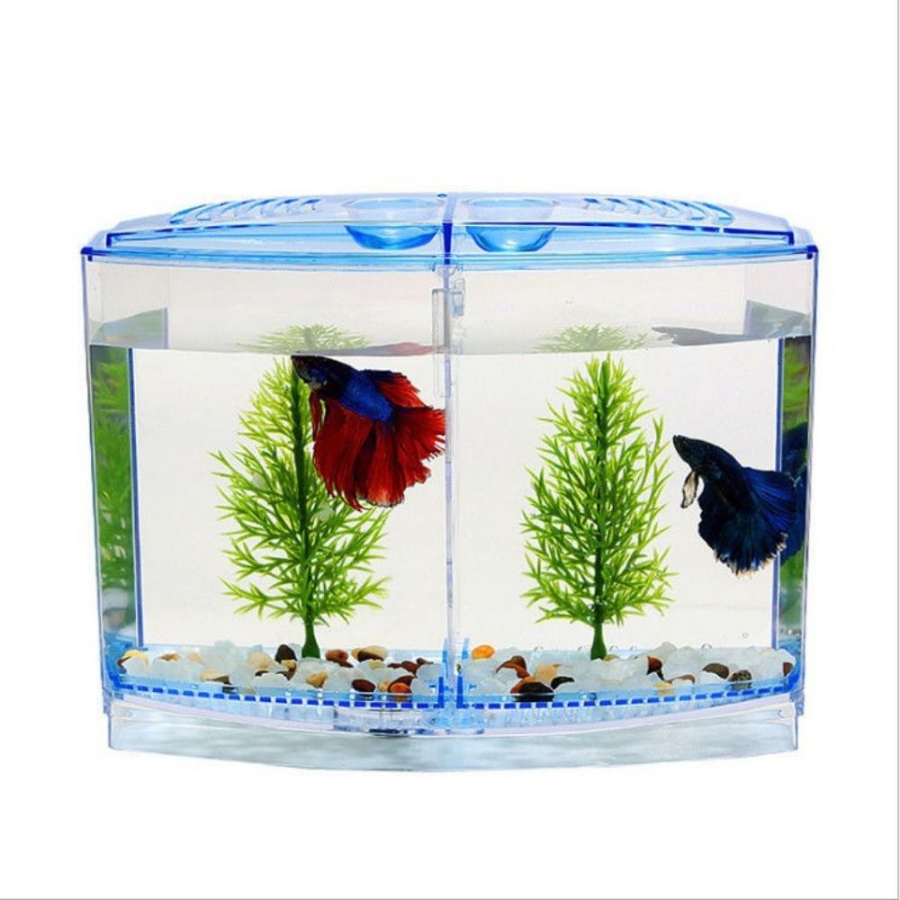 Transparent Betta Fish Tank, D - đánh giá và giá Betta Fish Tank
