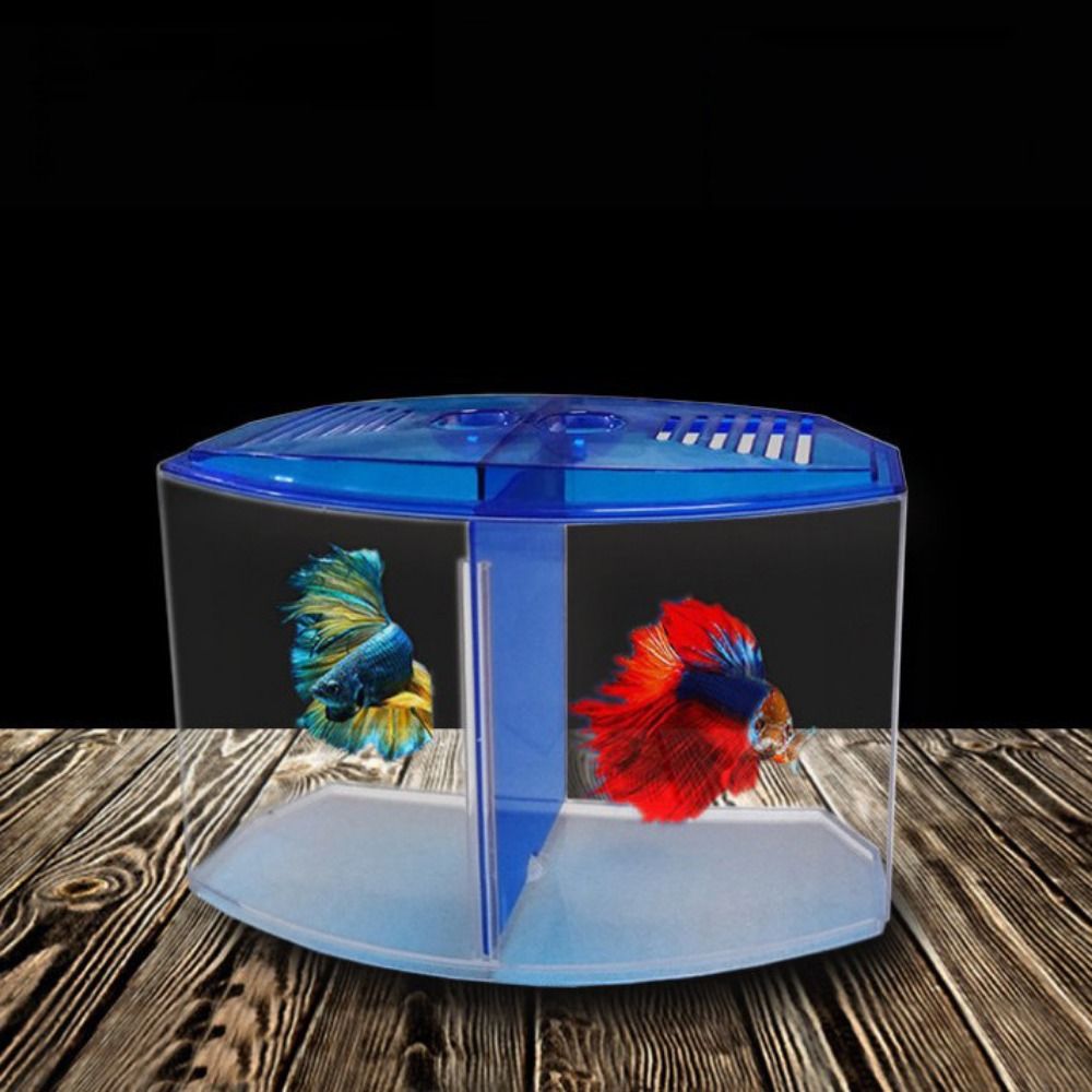 Transparent Betta Fish Tank, D - đánh giá và giá Betta Fish Tank
