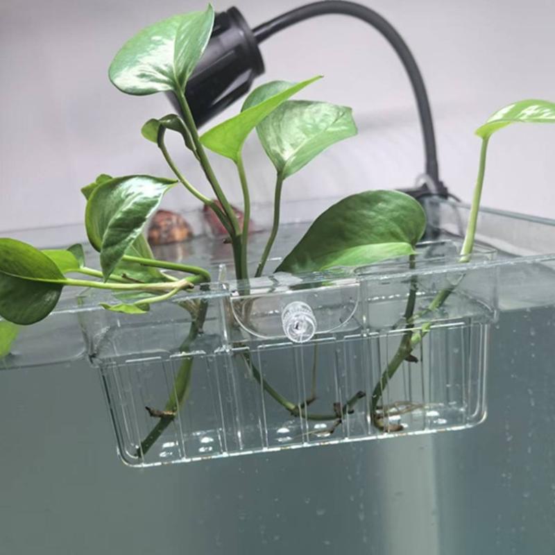 Hydroponic Plant Basket Food G - đánh giá và giá Aquarium Decor