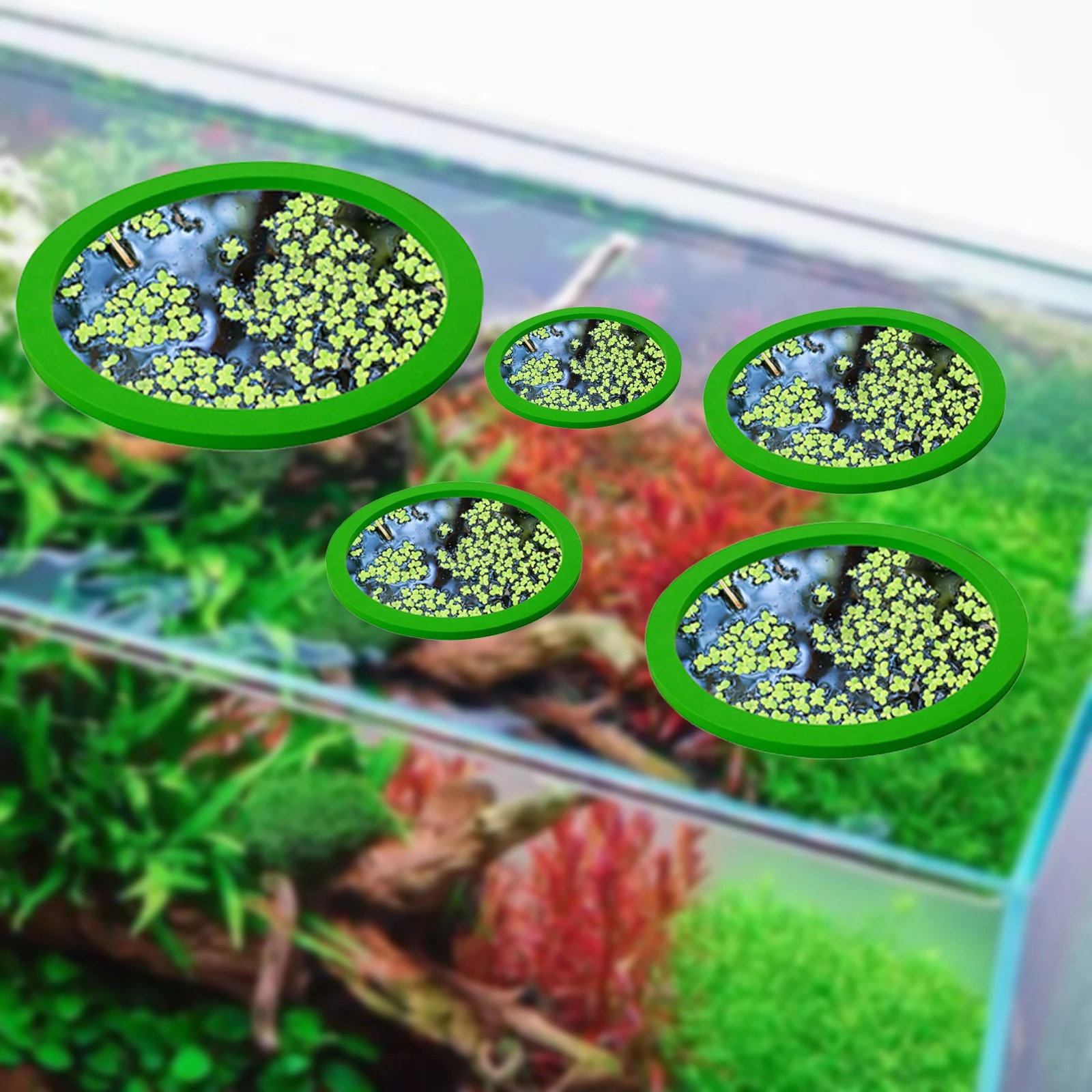5Pcs EVA Fish Feeding Ring Aqu - đánh giá và giá Fish Aquarium Home