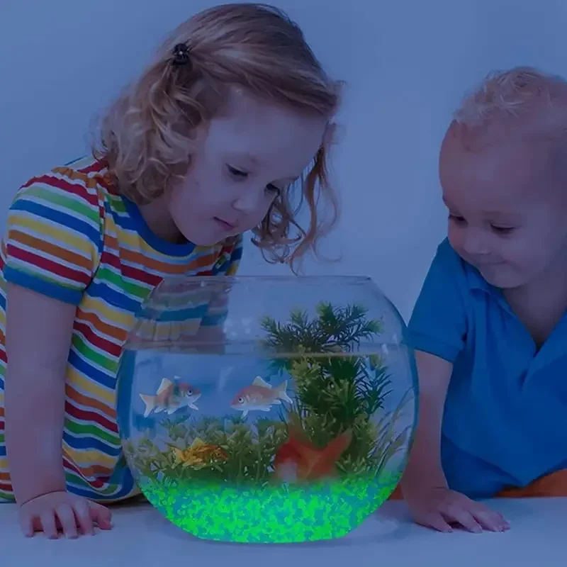 1000pcs 3-5mm Luminous Sand Gl - đánh giá và giá Fish Aquarium Home