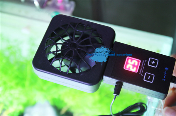 Mini nano clip treo trên quạt  - đánh giá và giá Fish Tank Heater