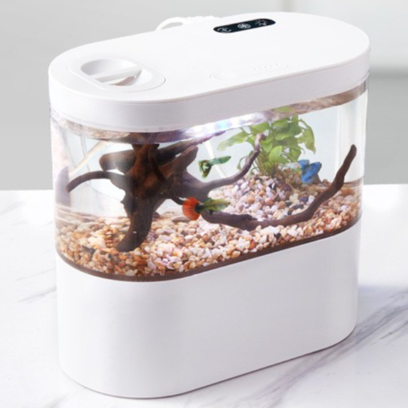Creative Mini Desktop Fish Tan - đánh giá và giá Betta Fish Tank