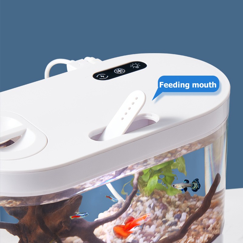 Creative Mini Desktop Fish Tan - đánh giá và giá Betta Fish Tank