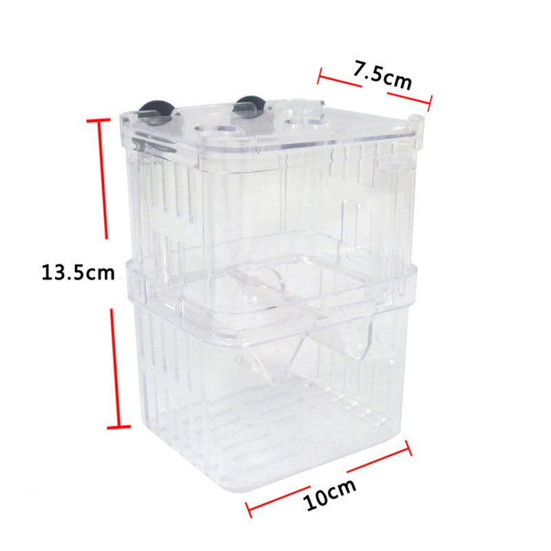 Peacock Fish Breeding Isolatio - đánh giá và giá Betta Fish Tank