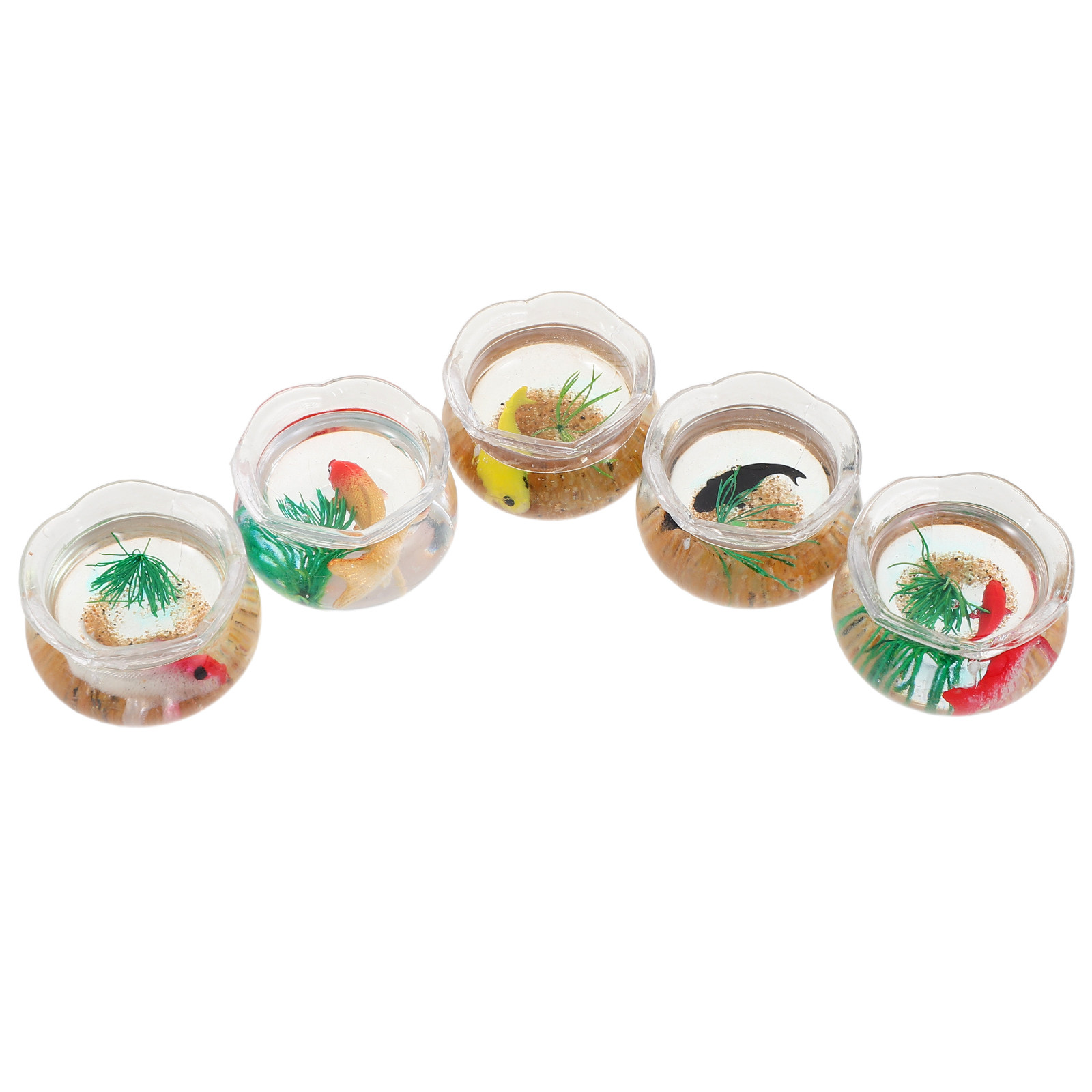 5pcs Miniature Koi Fish Tank:  - đánh giá và giá Aquarium Plants