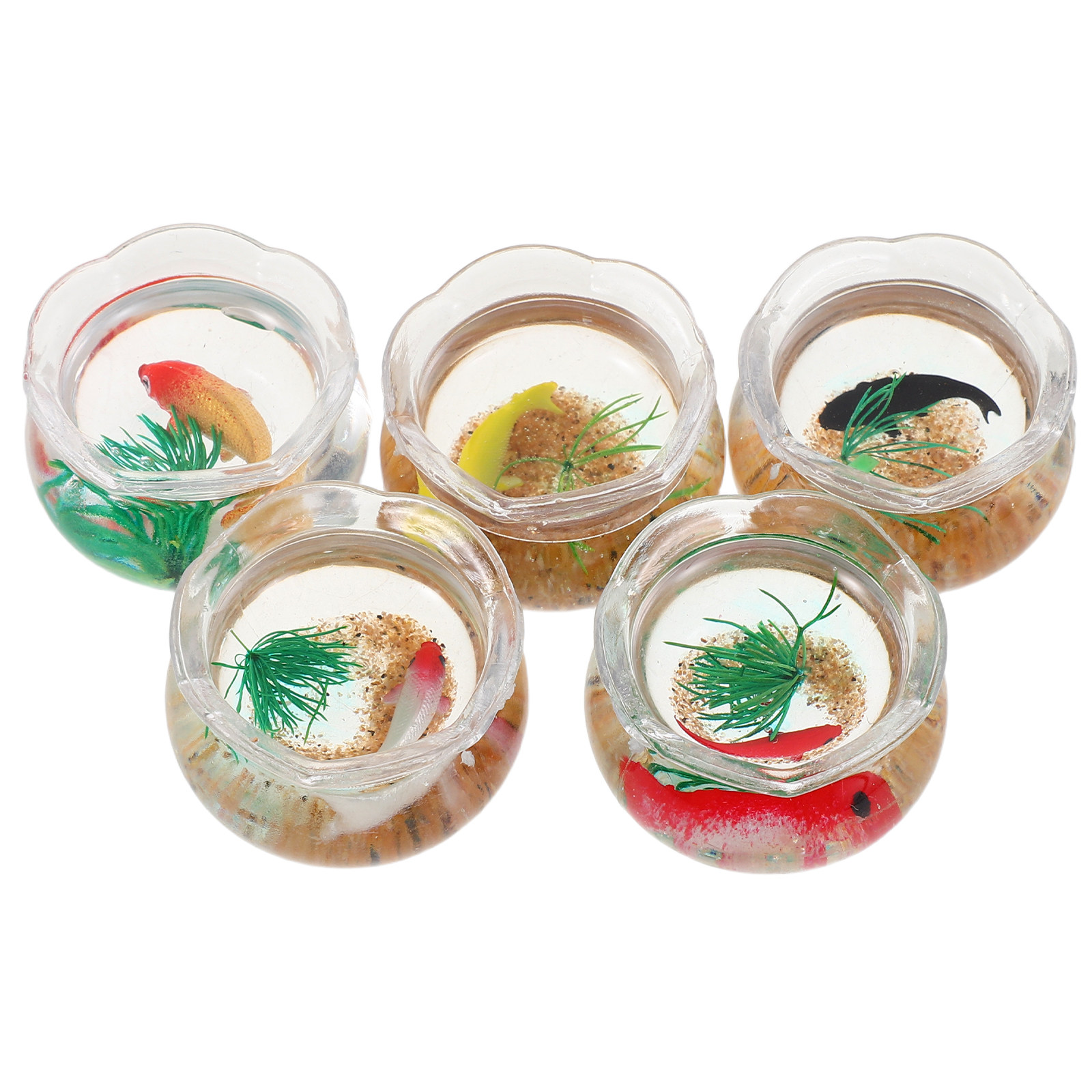 5pcs Miniature Koi Fish Tank:  - đánh giá và giá Aquarium Plants